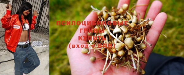 экстази Арсеньев